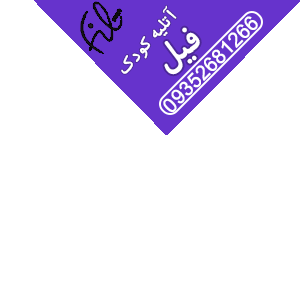 استودیو عکاسی کودک فیل