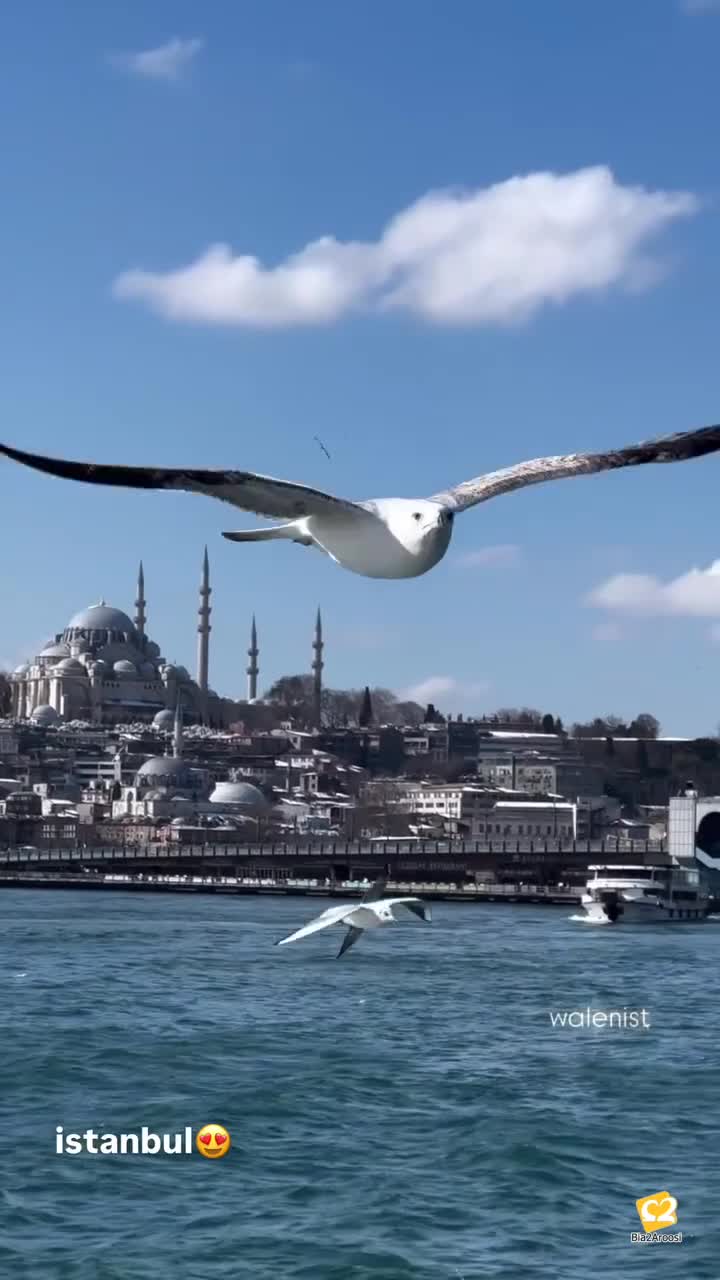 آتلیه اسپرت مشهد