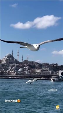 آتلیه اسپرت مشهد